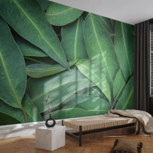 Fototapet Standard Eco - Saftiga och fräscha - Löv, Eukalyptus, Natur - 150x105 cm