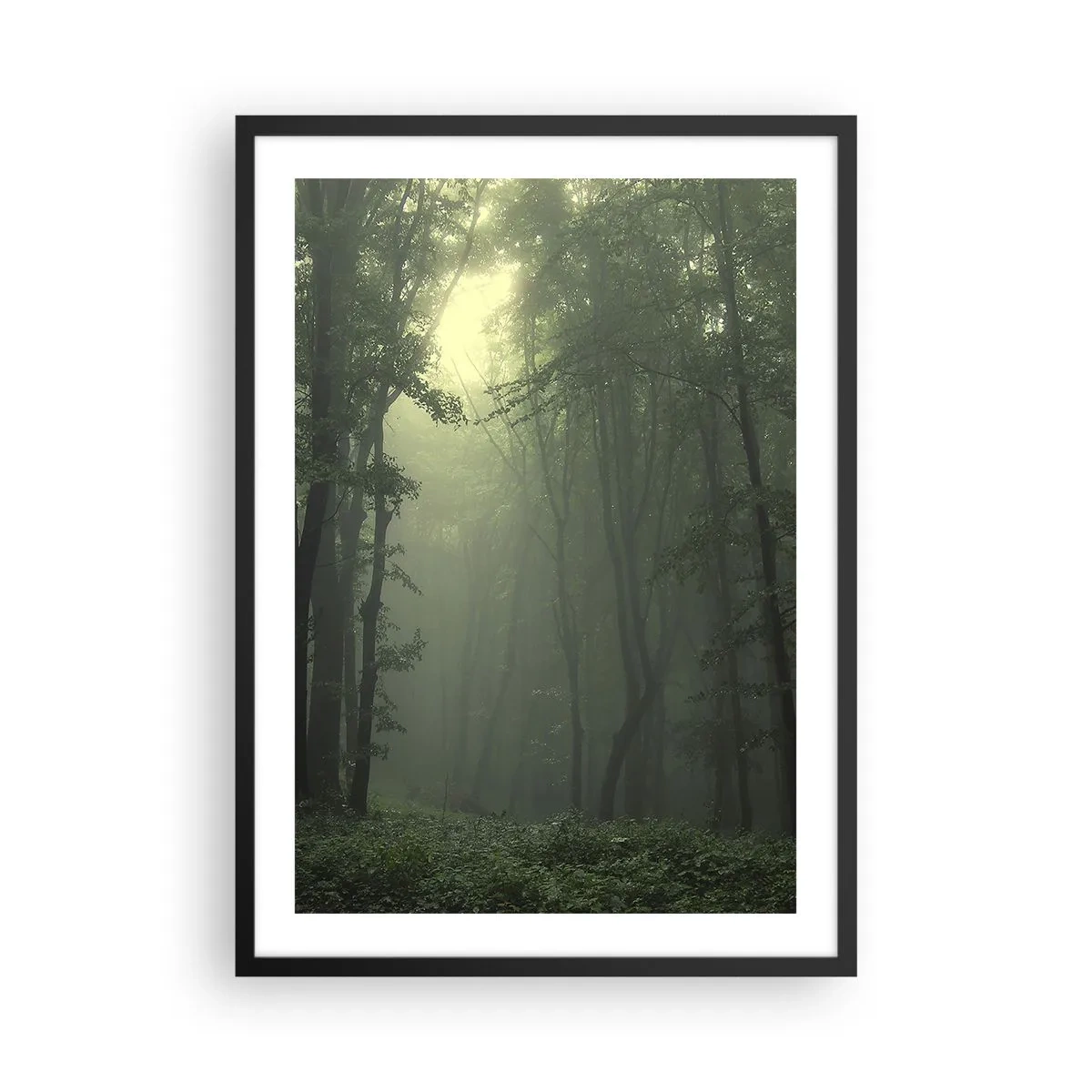 Affisch i svart ram - Dimmiga träd i en grön skog - 50x70cm - Innan skogen vaknar - Modern väggdekoration för vardagsrum och sovrum ARTTOR