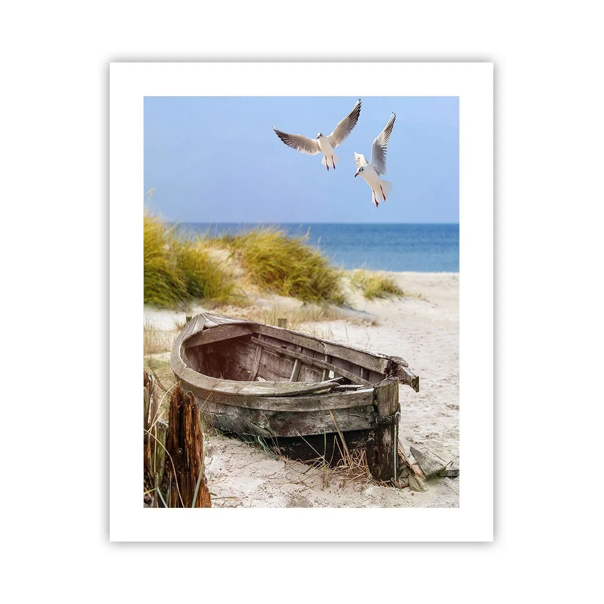 Affisch - Doppade i vinden - 40x50 cm