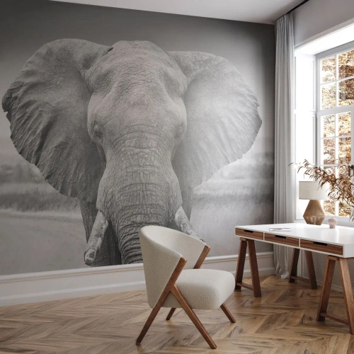 Självhäftande Fototapet Deluxe Sticker - Välkommen till min värld - Elefant, Afrika, Djur - 100x70 cm