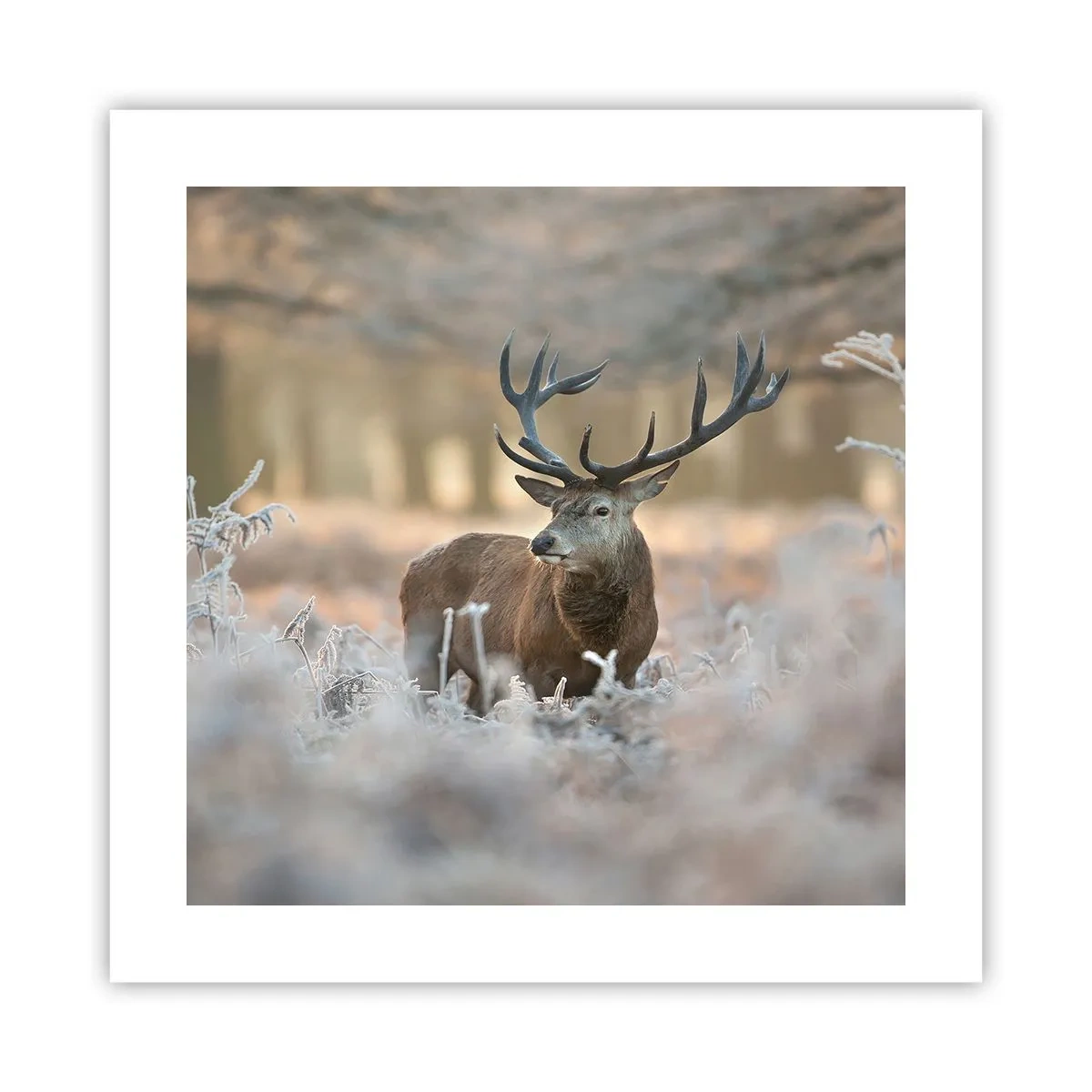 Affisch - Uppfriskande morgon - 40x40 cm