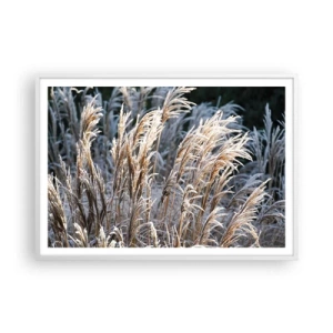 Affisch i vit ram - Frostprydda - 100x70 cm