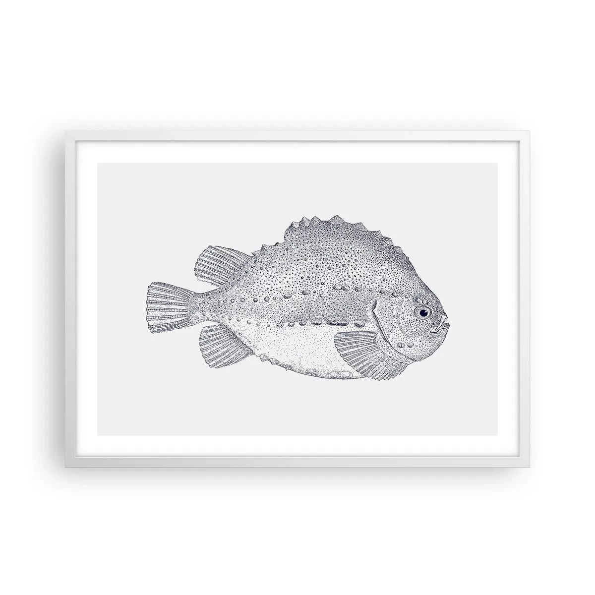 Affisch i vit ram - Till naturforskarens album - 70x50 cm