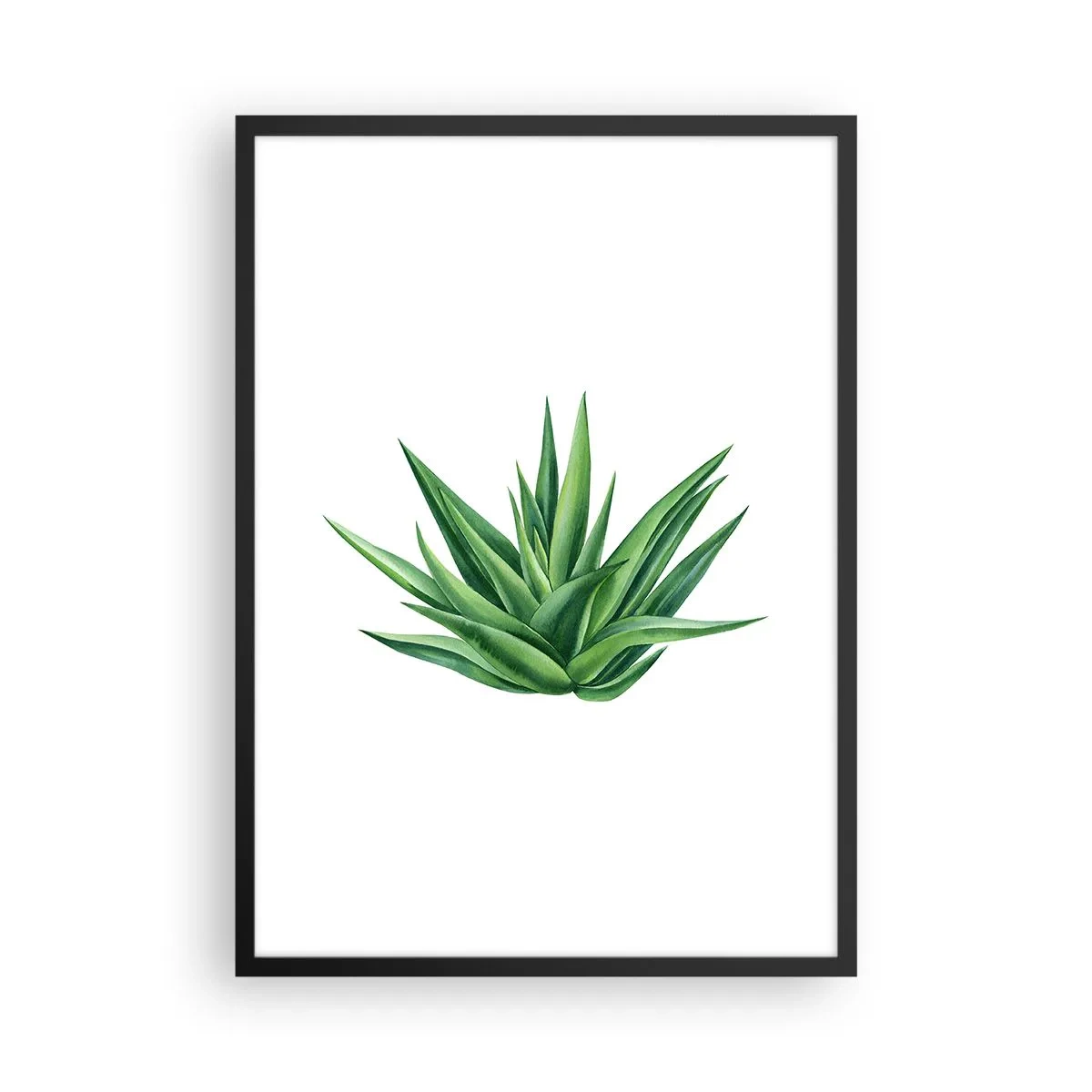 Affisch i svart ram - Minimalistisk illustration av en grön växt - 50x70cm - Grönt - styrka - liv - Modern väggdekoration för vardagsrum och sovrum ARTTOR