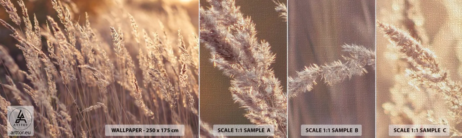 Provbit av fototapet Premium Canvas - Redo att välkomna hösten - Landskap, Öron av säd, Äng - 100x30 cm