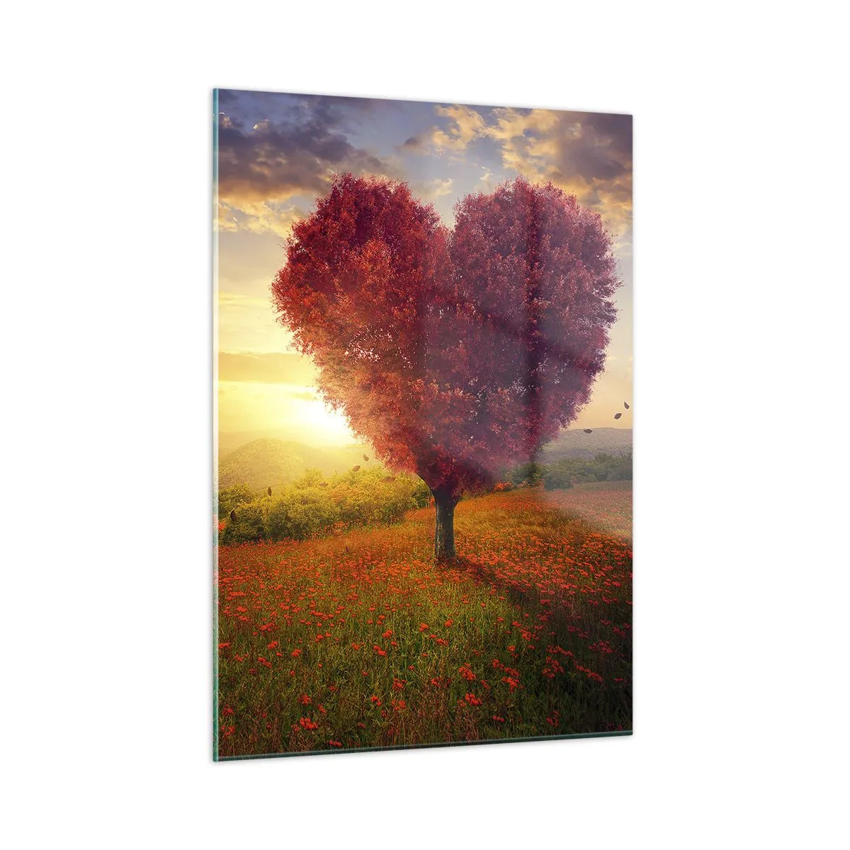 Glastavla - Bild på glas - Tagande - 50x70 cm