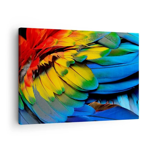 Canvastavla - Bild på duk - En närbild av en papegojas färgglada fjädrar - 70x50cm - Paradisfågel - Modern väggdekoration för vardagsrum och sovrum ARTTOR