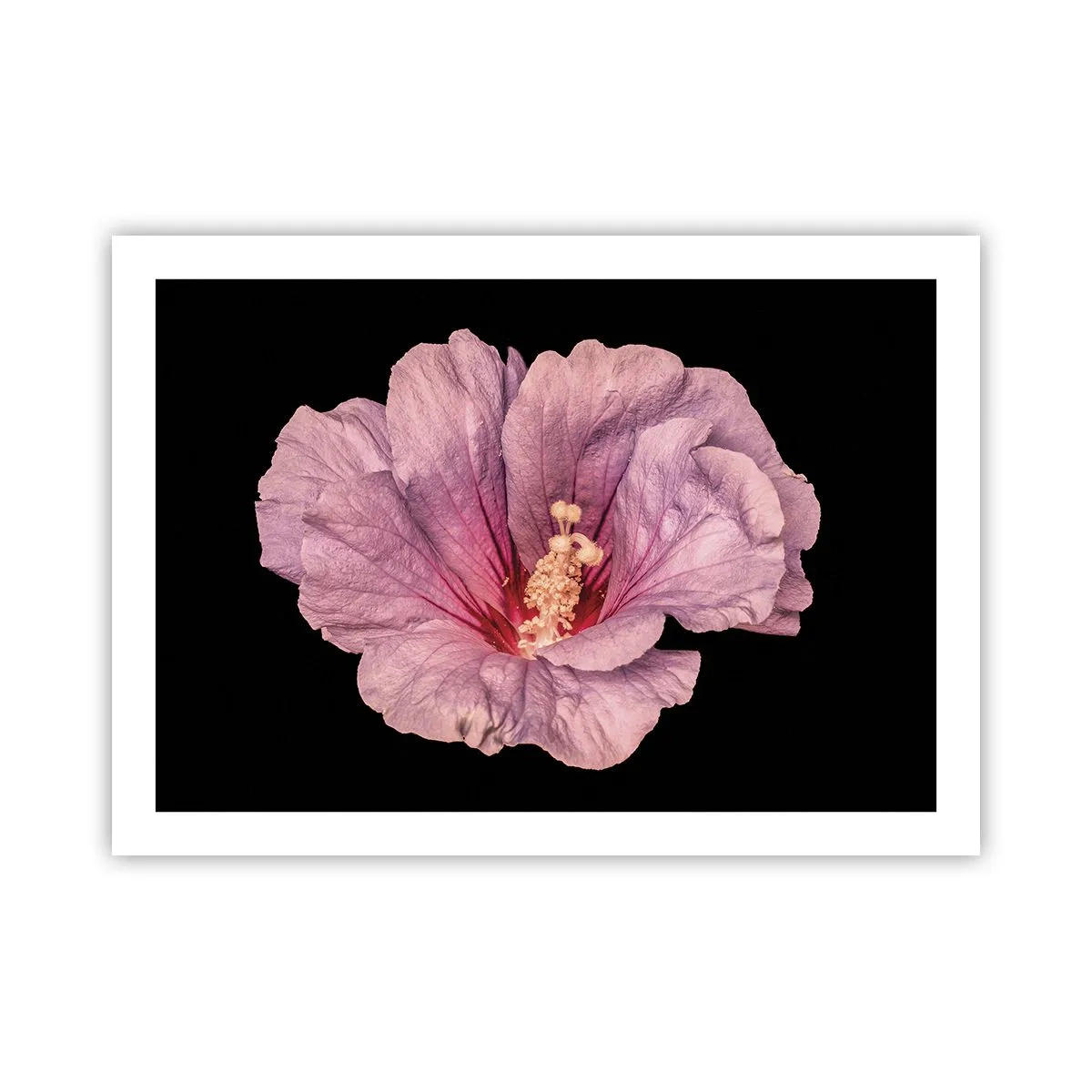 Affisch - Rakt till hjärtat - 70x50 cm