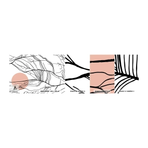 Provbit av självhäftande fototapet Deluxe Sticker - I grenarnas nät - Abstraktion, Grafik, Design - 100x30 cm