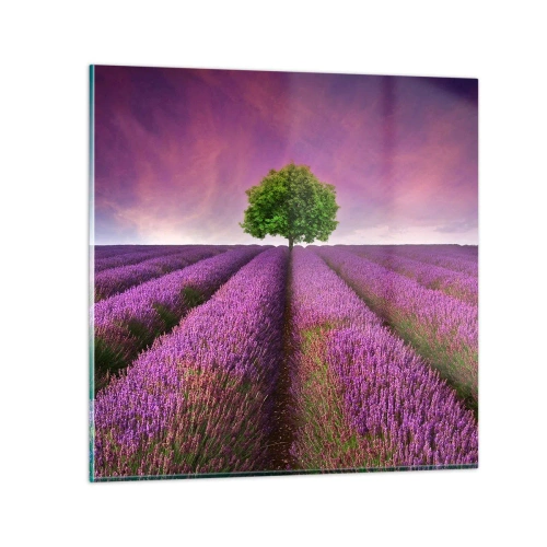 Glastavla - Bild på glas - På lavendelåkrarna - 30x30 cm