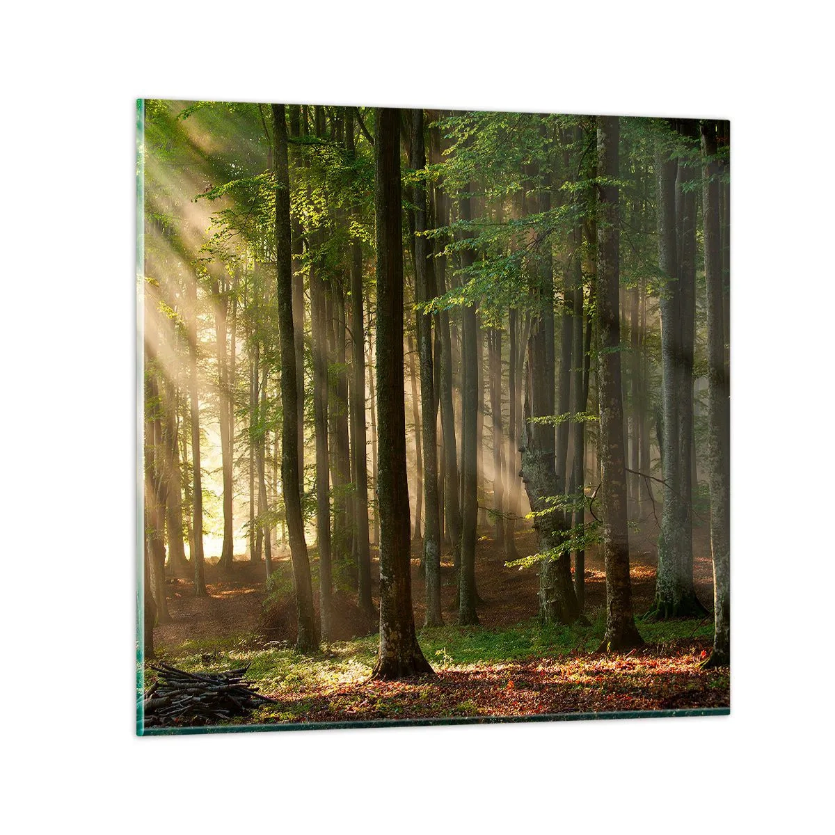 Glastavla - Bild på glas - Utstrålande på en vårmorgon - 70x70 cm