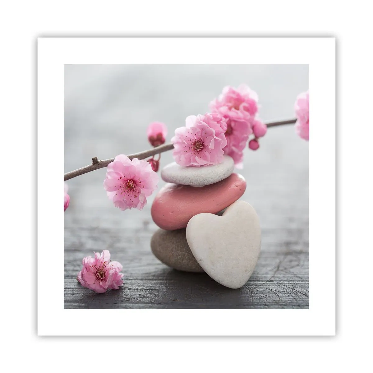 Affisch - Salighet med körsbärsblomma - 40x40 cm