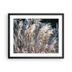 Affisch i svart ram - Frostprydda - 50x40 cm