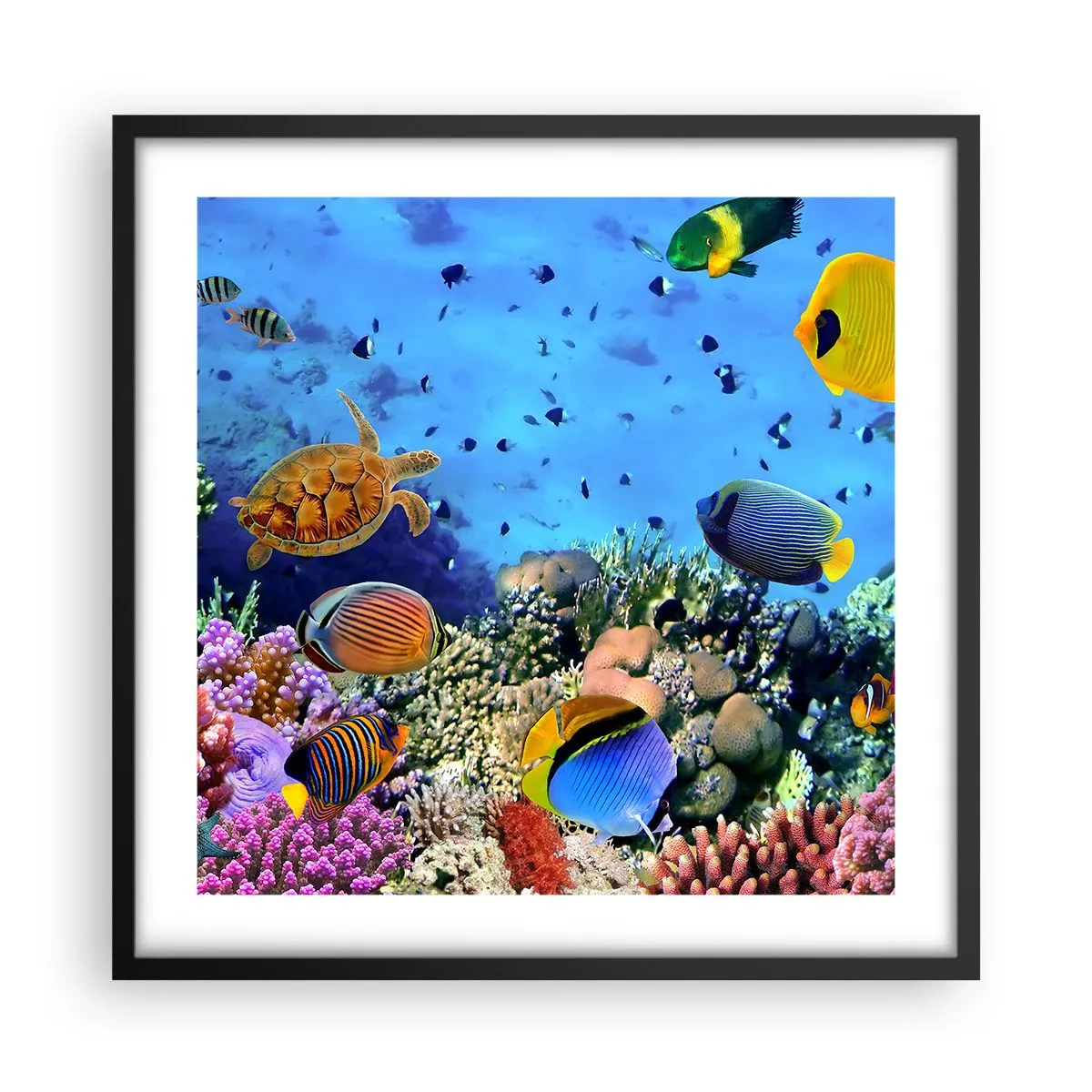 Affisch i svart ram - Vad vet vi om livet... - 50x50 cm