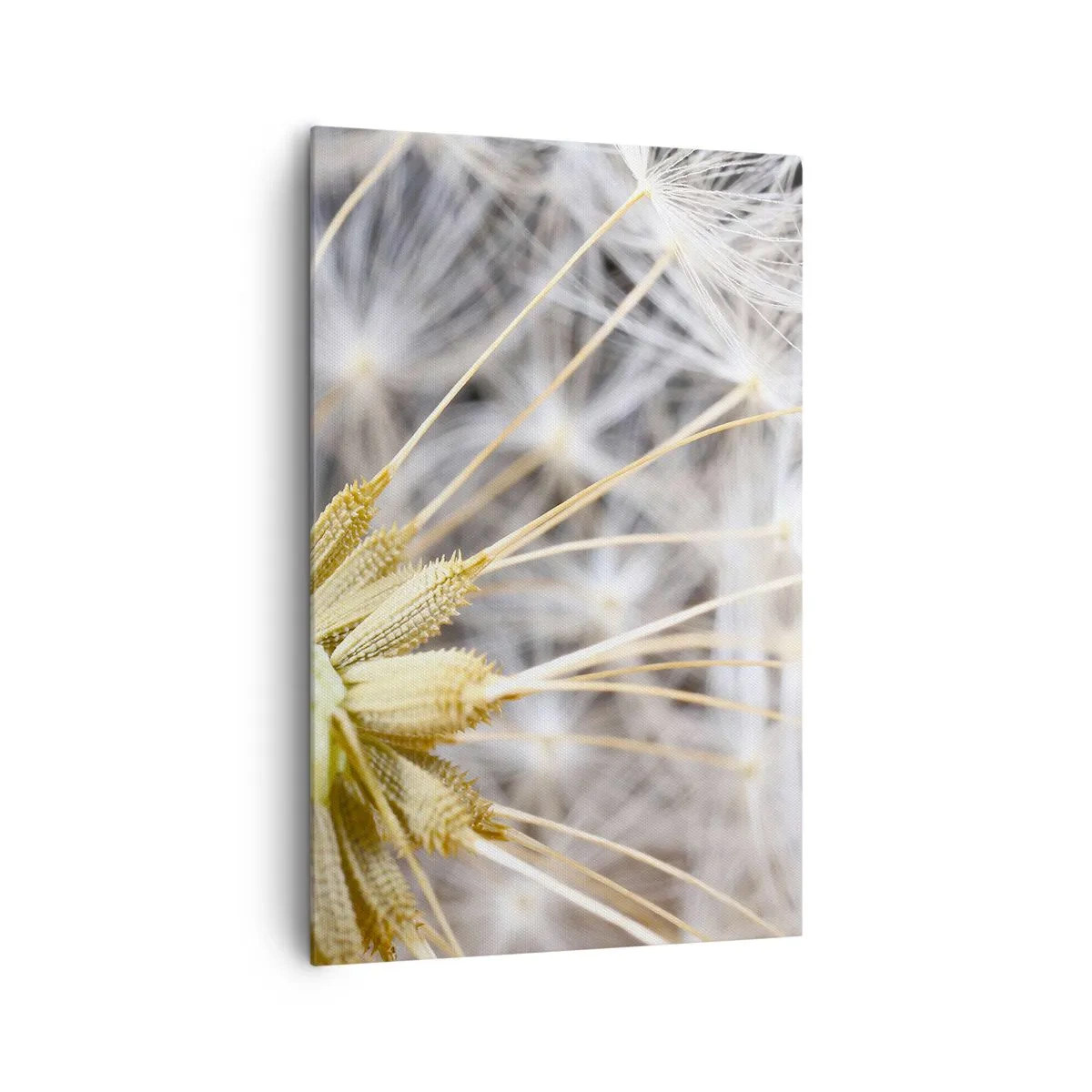 Canvastavla - Bild på duk - Klar att lyfta - 80x120 cm