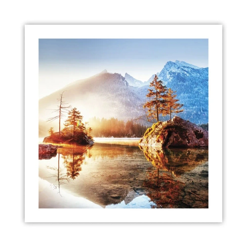 Affisch - Naturen i ett nytt ljus - 50x50 cm