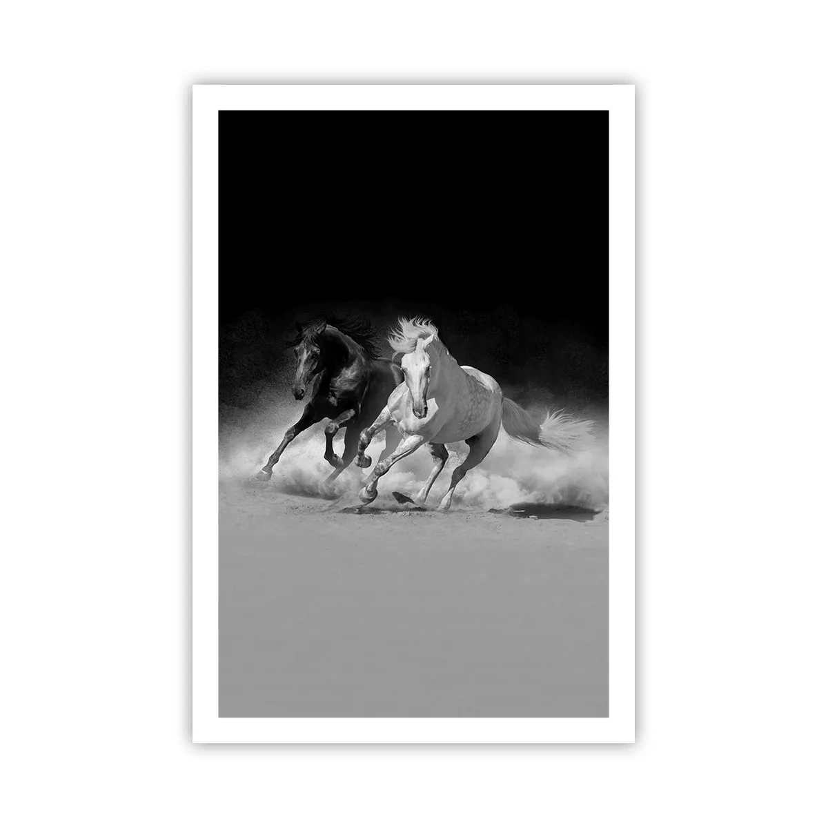 Affisch - Frihetens galopp - 61x91 cm