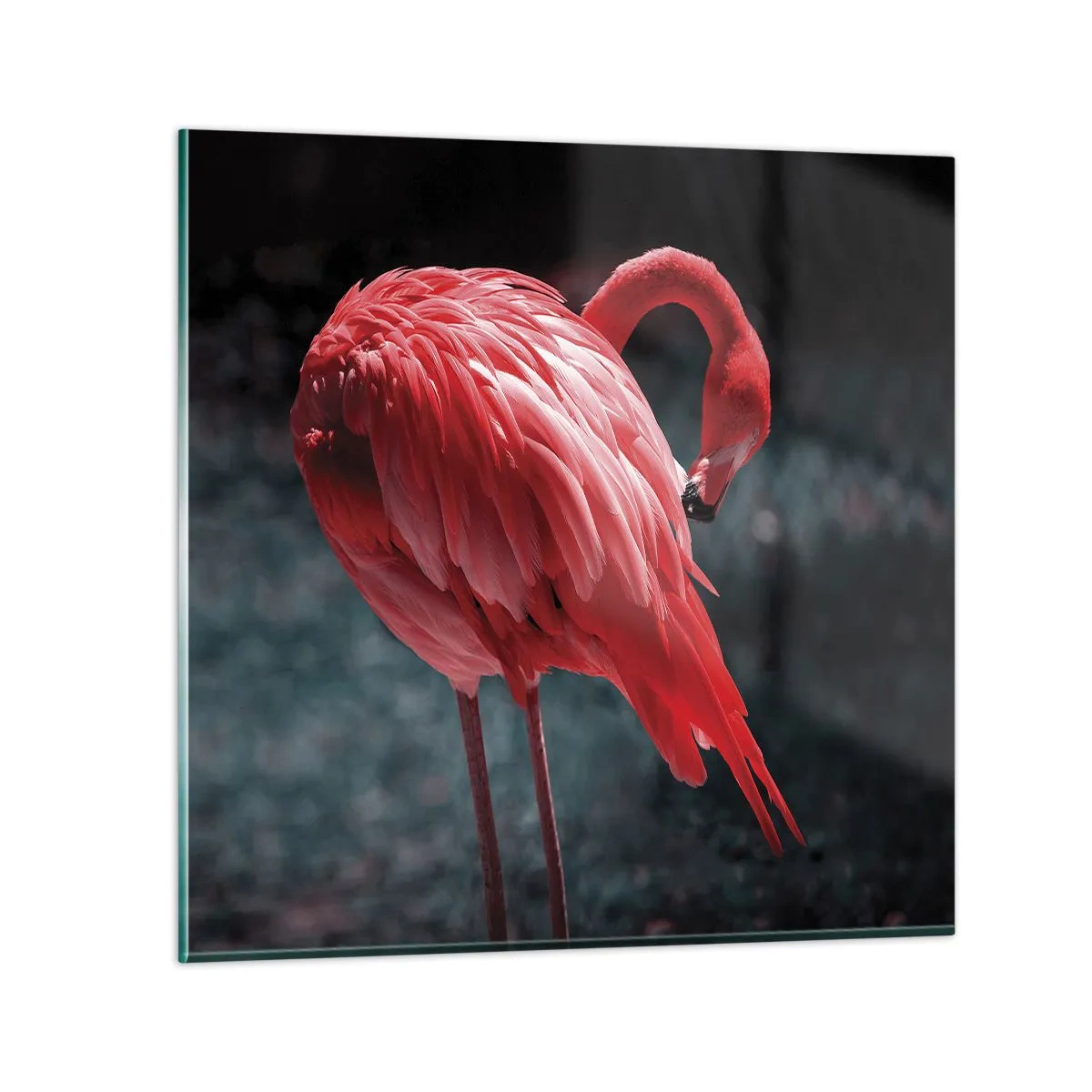 Glastavla - Bild på glas - Djuprött naturpoem - 40x40 cm