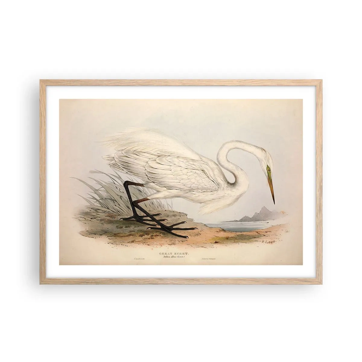 Affisch i ram av ljusek - En dam i vassen - 70x50 cm