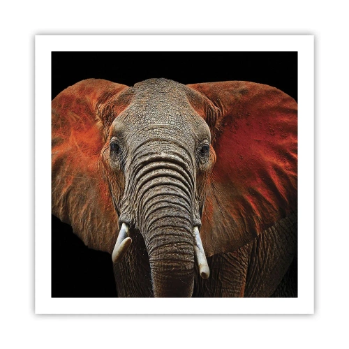 Affisch - Jag är vild, och du? - 60x60 cm