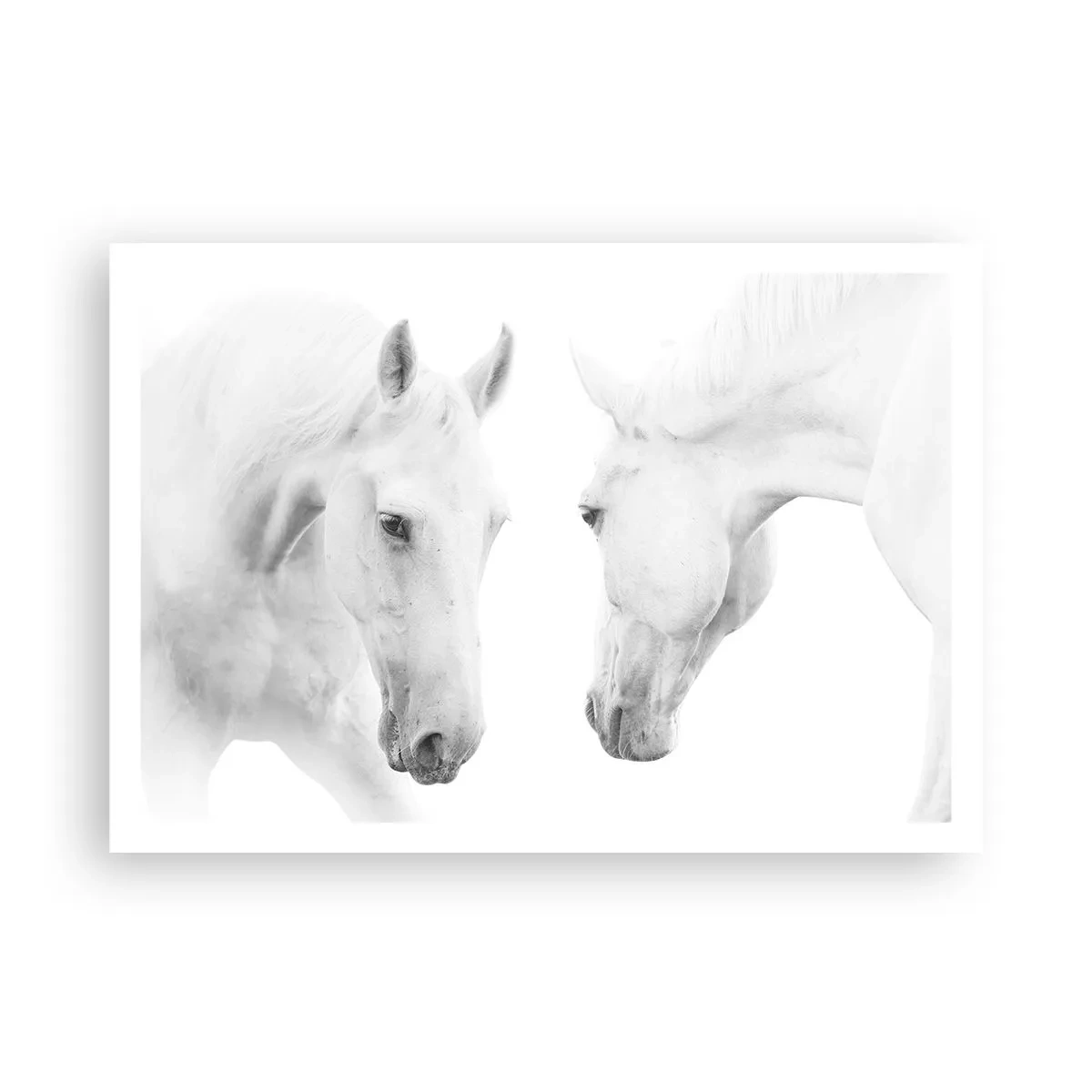 Affisch - Är det vänskap…? - 100x70 cm