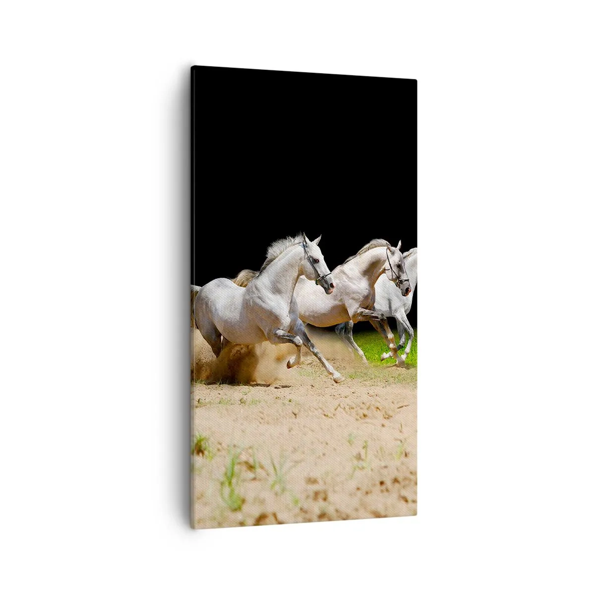 Canvastavla - Bild på duk - De tre gracerna - 55x100 cm