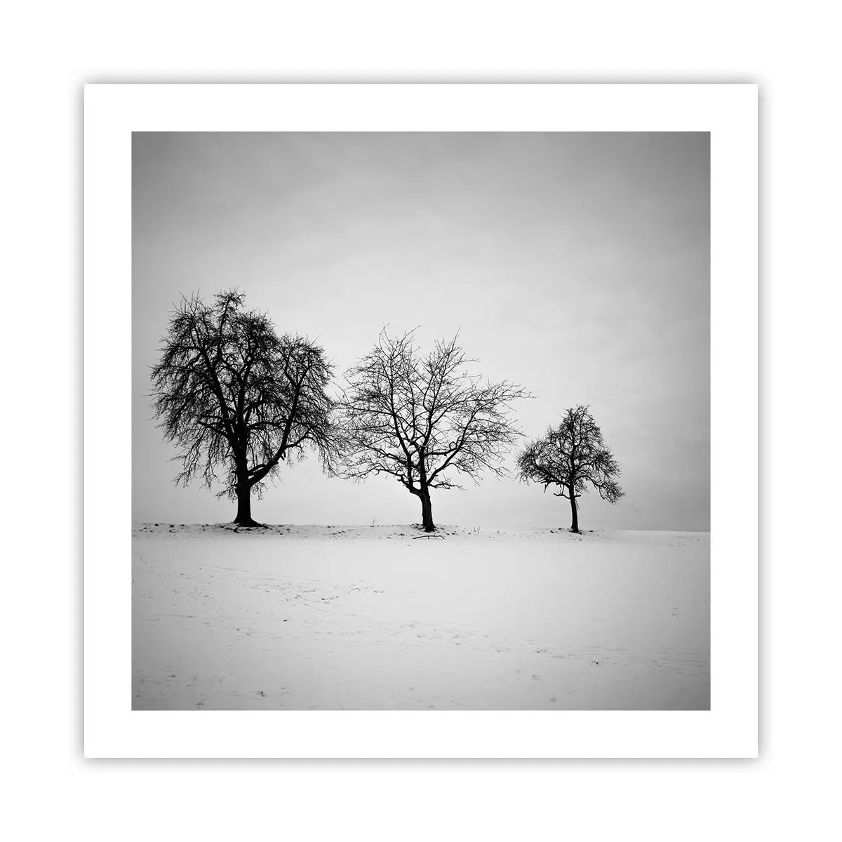 Affisch - Vad drömmer de om? - 50x50 cm