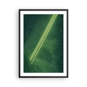 Affisch i svart ram - Närbild av ett grönt blad med vattendroppar - 50x70cm - Grönskans struktur - Modern väggdekoration för vardagsrum och sovrum ARTTOR