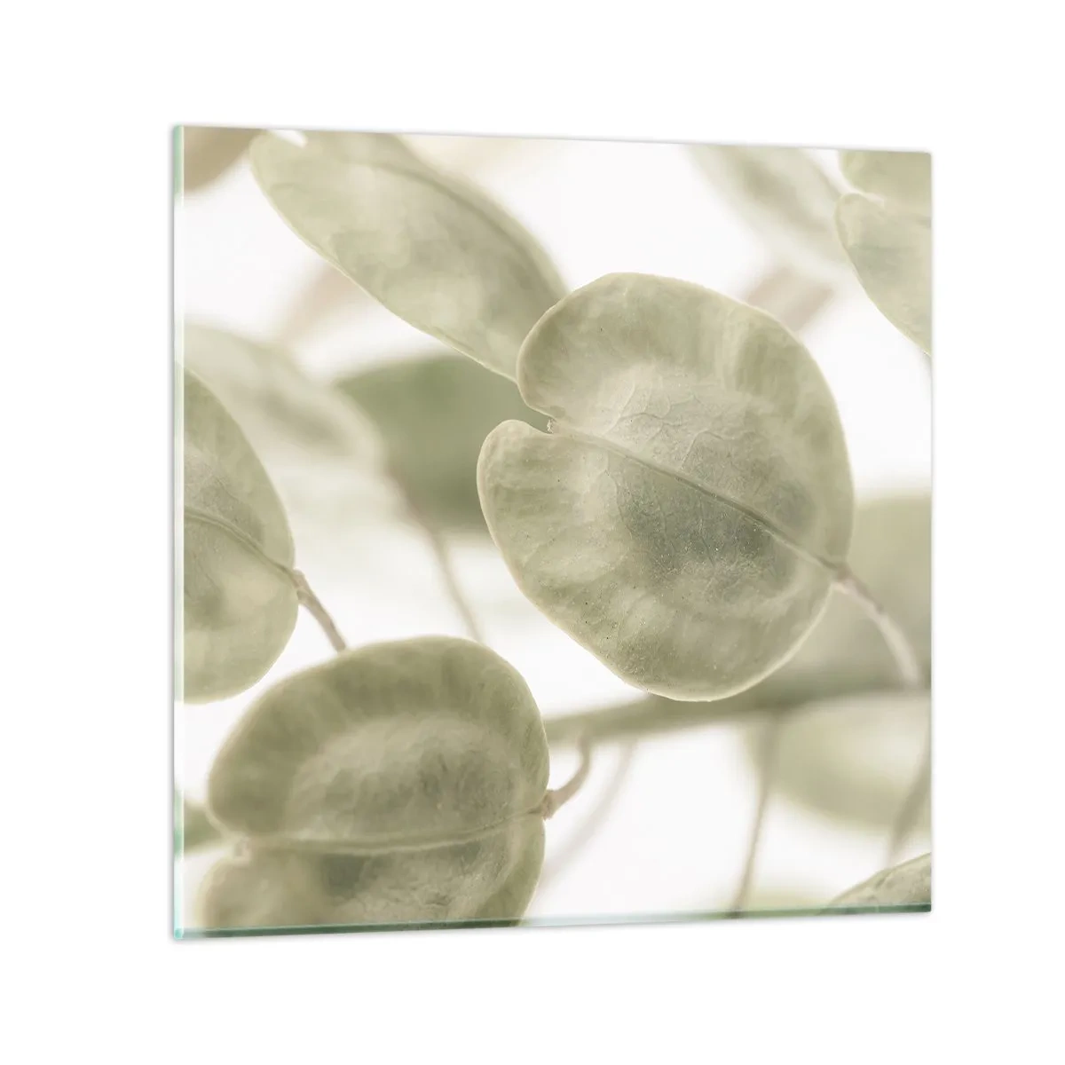 Glastavla - Bild på glas - I början fanns det löv... - 30x30 cm