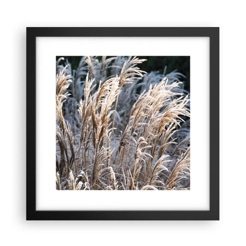 Affisch i svart ram - Frostprydda - 30x30 cm