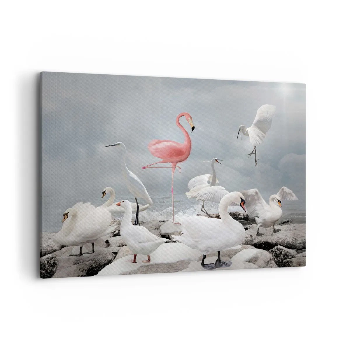 Canvastavla - Bild på duk - Hur har jag hamnat här? - 100x70 cm