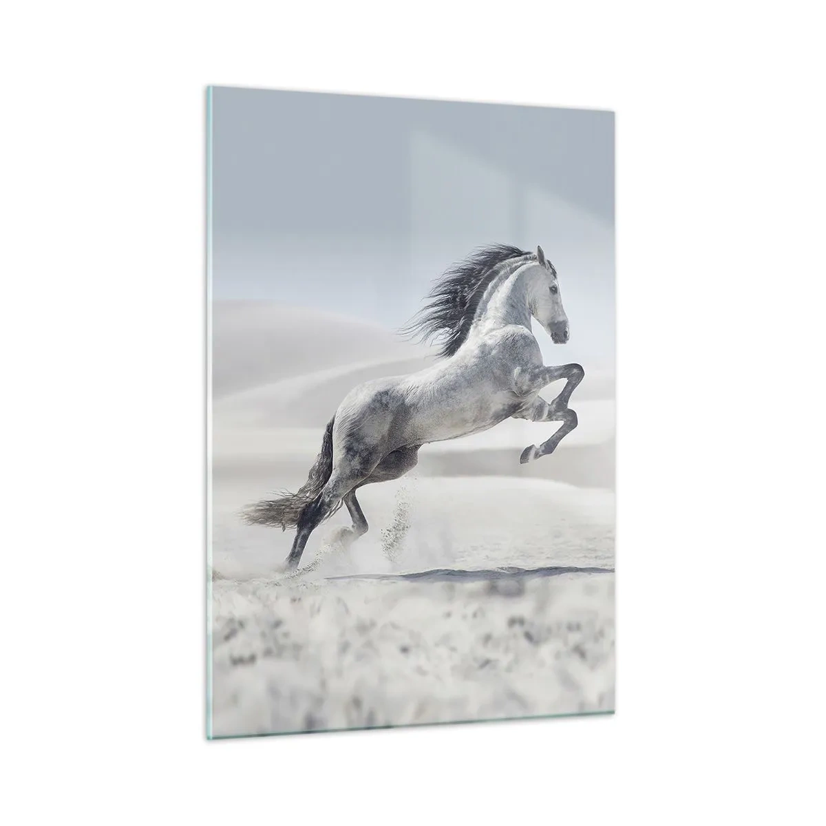 Glastavla - Bild på glas - Arabisk prins - 50x70 cm