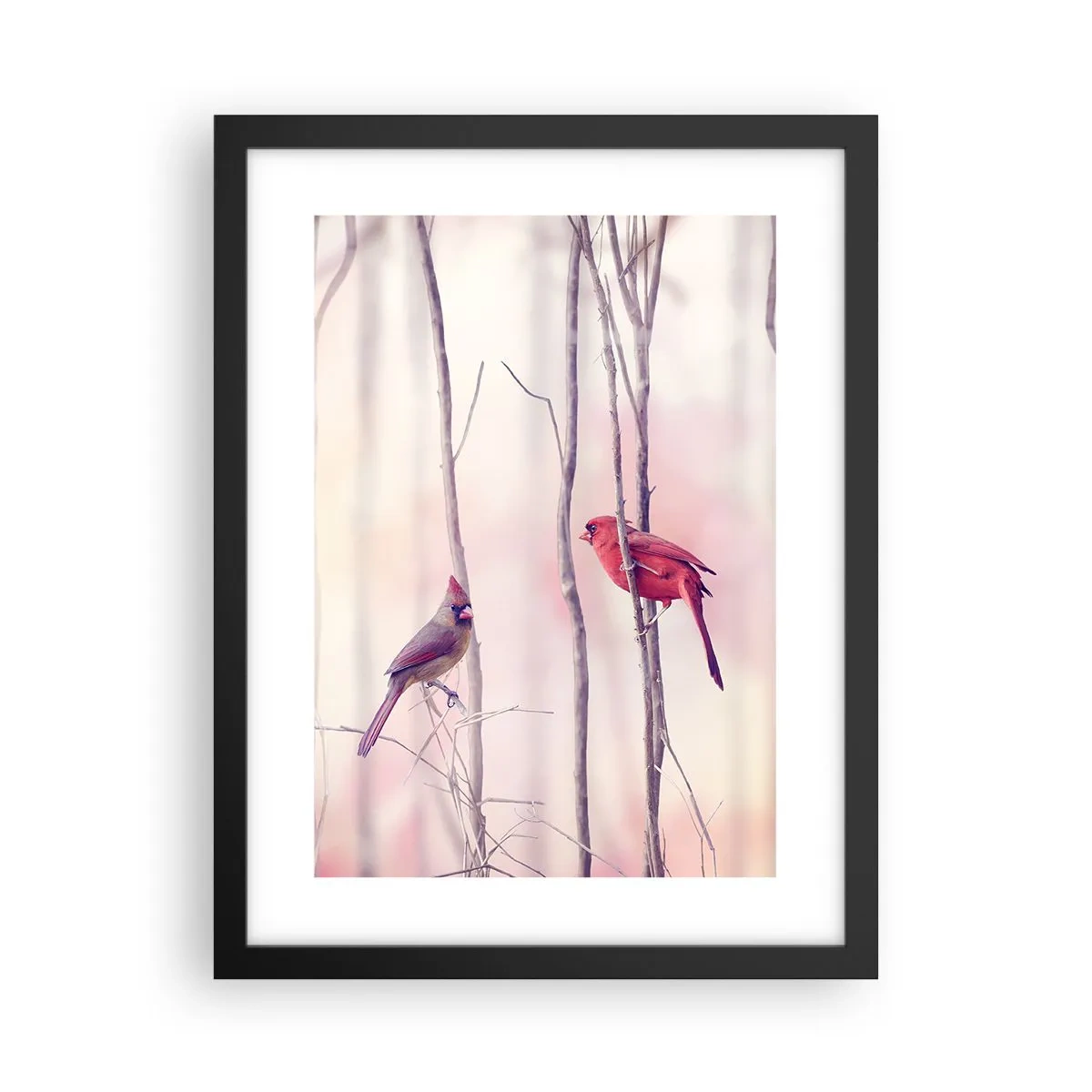 Affisch i svart ram - Rosa skogens saga - 30x40 cm