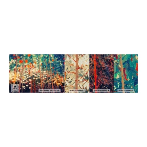 Provbit av fototapet Premium Sand - Lövbladens hemlighetsfulla liv - Tropisk skog, Natur, Träd - 100x30 cm