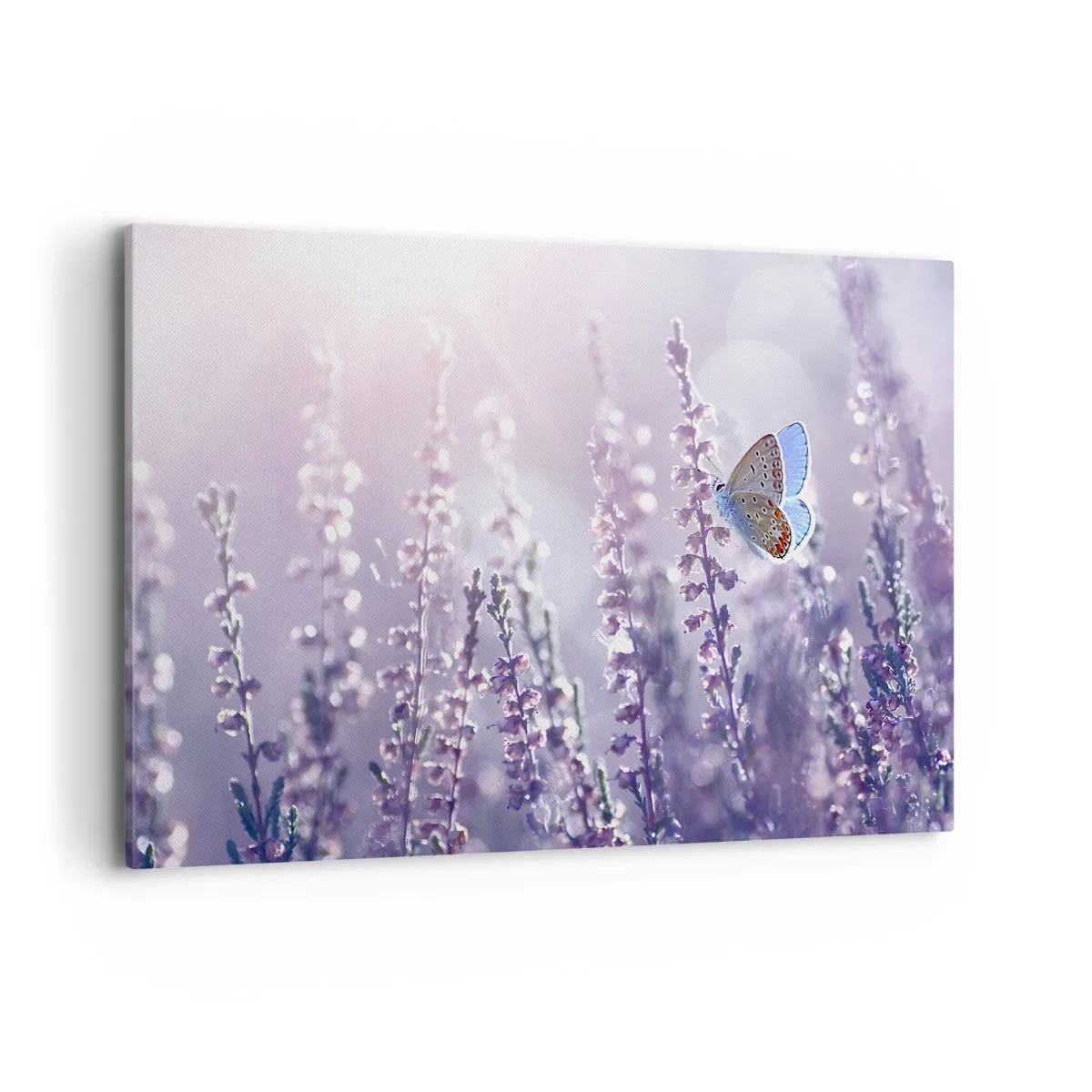 Canvastavla - Bild på duk - En fjärils kyss - 100x70 cm