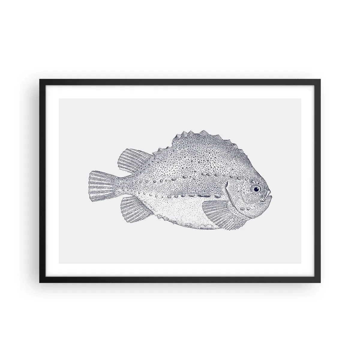 Affisch i svart ram - Till naturforskarens album - 70x50 cm