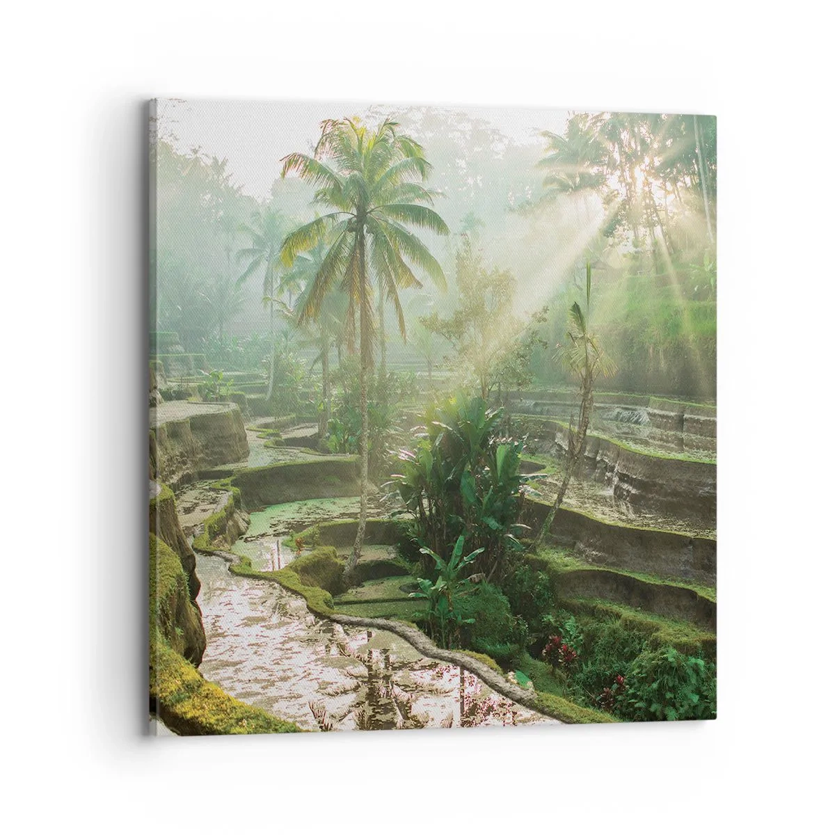 Canvastavla - Bild på duk - Växa upp i solsken - 70x70 cm