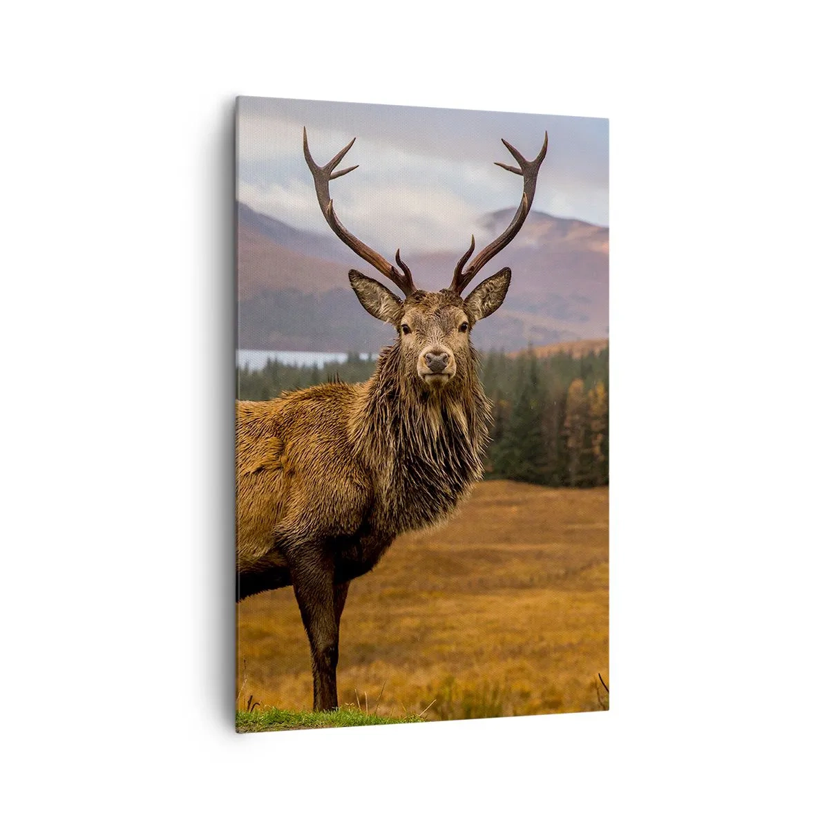 Canvastavla - Bild på duk - Naturens majestät - 80x120 cm