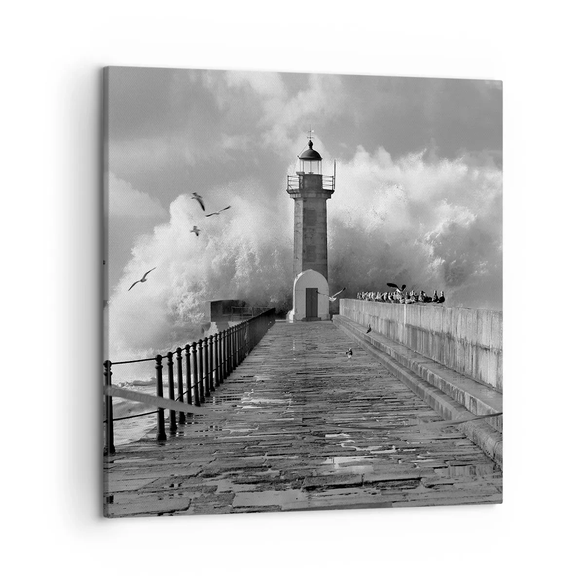 Canvastavla - Bild på duk - Orädd  - 50x50 cm