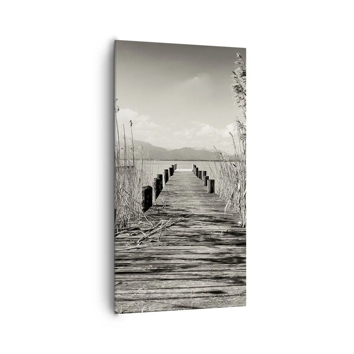 Canvastavla - Bild på duk - I gräsets fristad - 65x120 cm