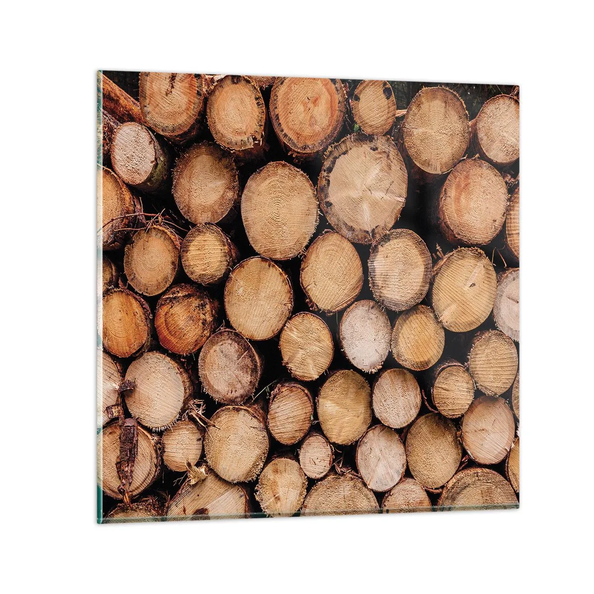 Glastavla - Bild på glas - Ny början - 60x60 cm