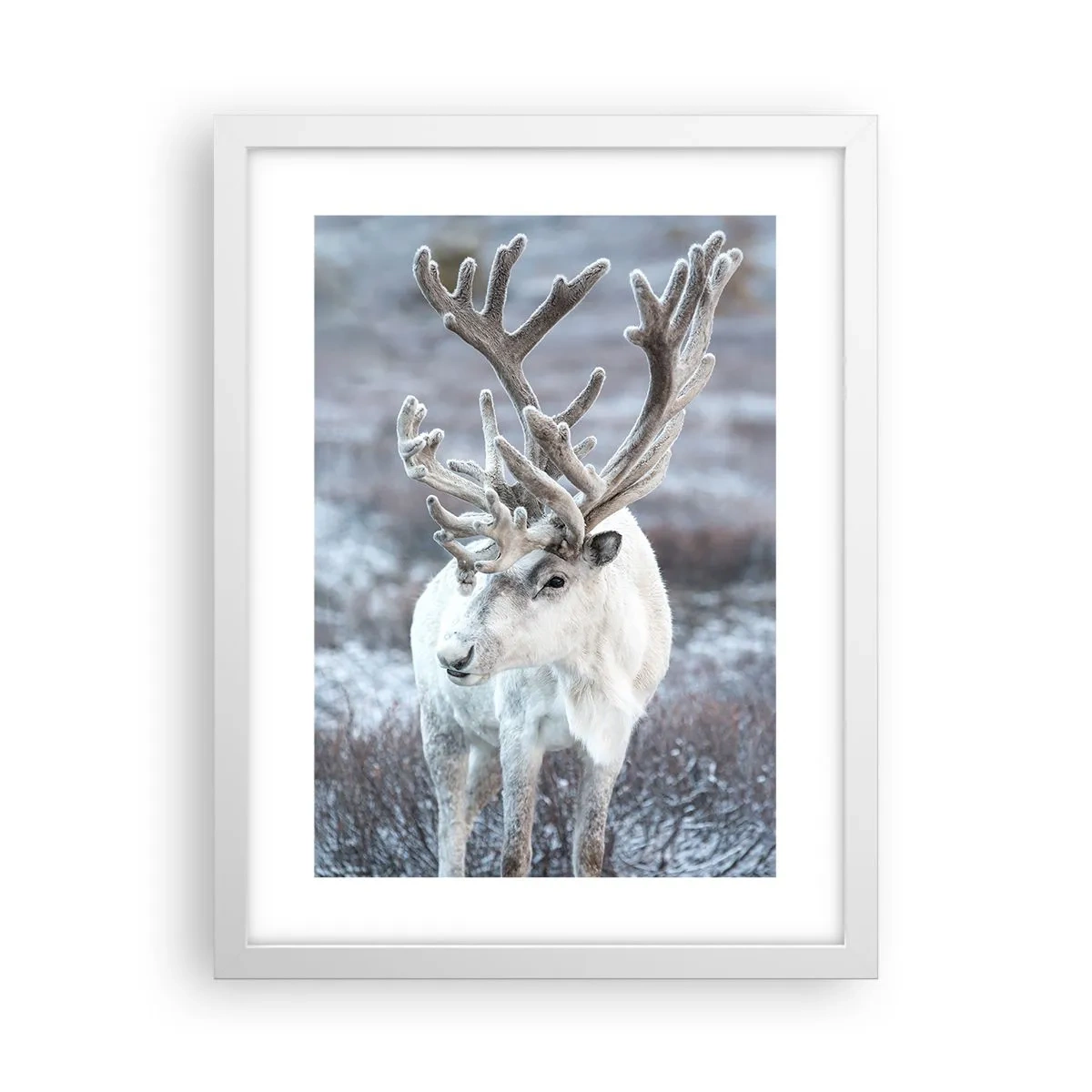 Affisch i vit ram - Porträtt i solsken - 30x40 cm