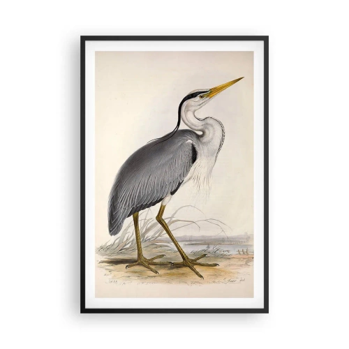 Affisch i svart ram - Hägers charm - 61x91 cm