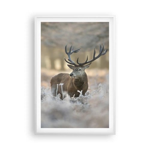 Affisch i vit ram - Uppfriskande morgon - 61x91 cm