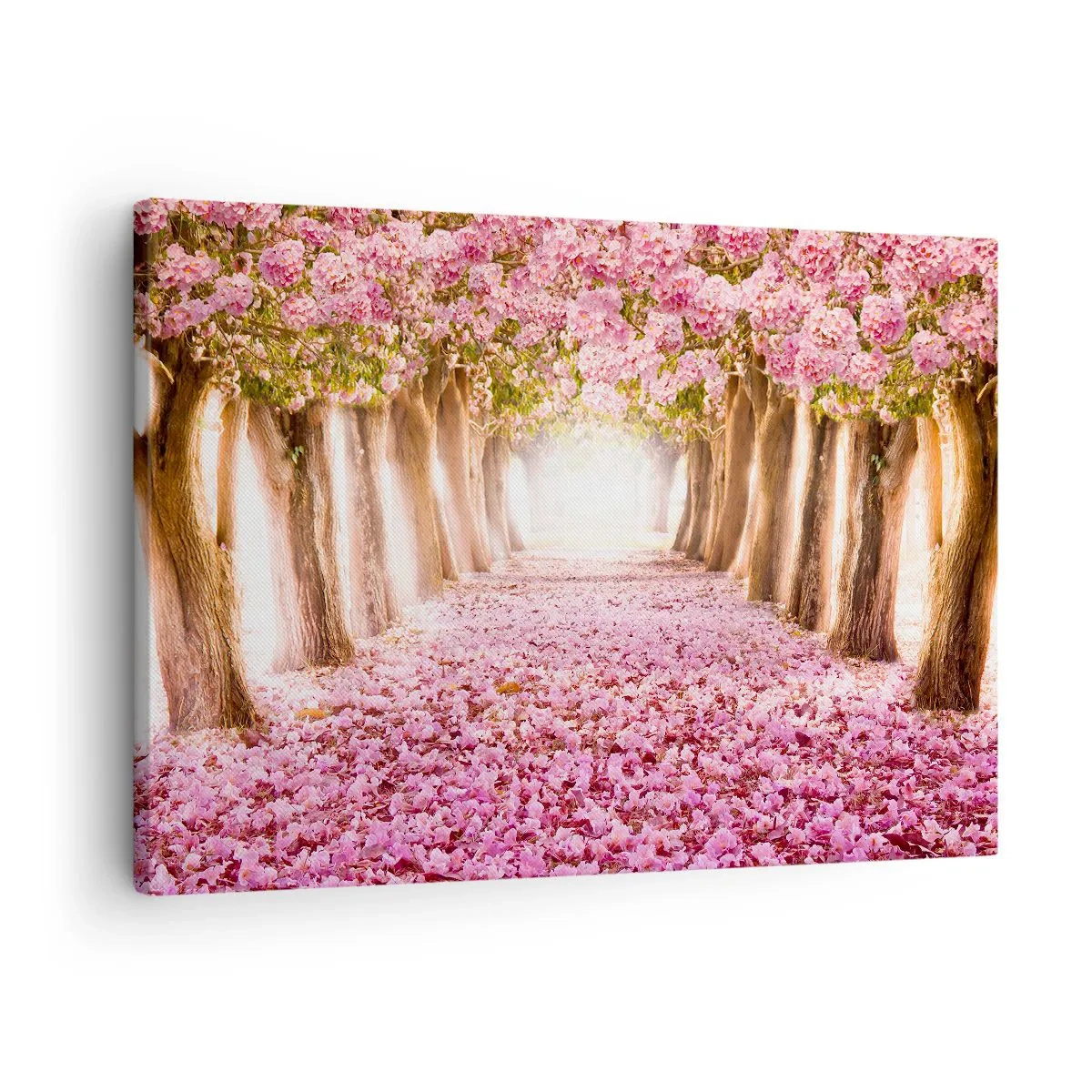 Canvastavla - Bild på duk - En allé med blommande träd i nyanser av rosa - 70x50cm - Vägen till paradiset - Modern väggdekoration för vardagsrum och sovrum ARTTOR