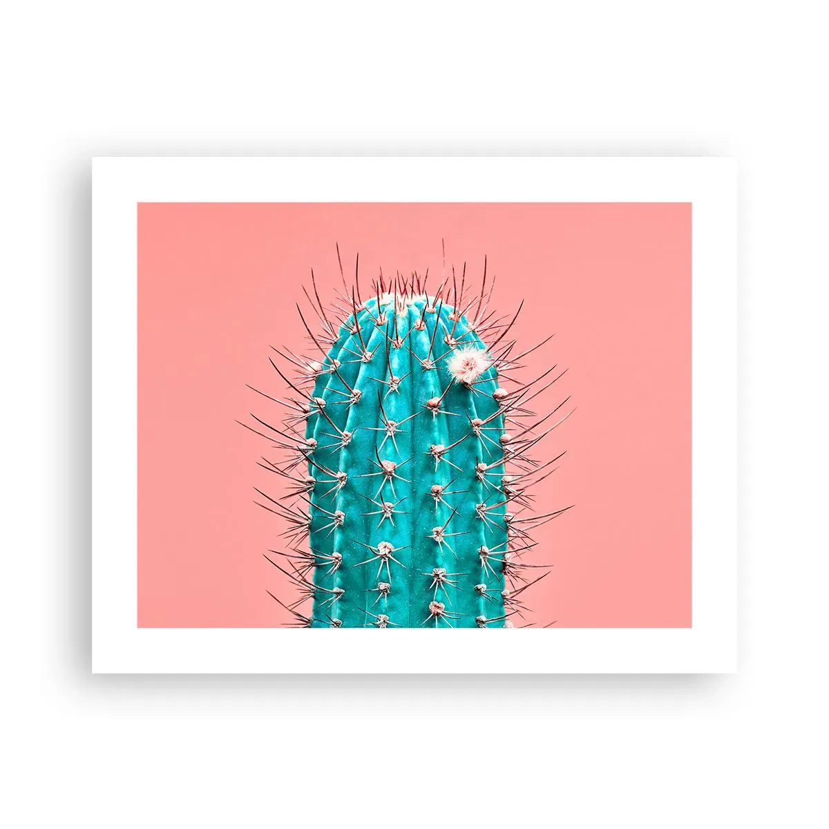 Affisch - Titta bara - 50x40 cm