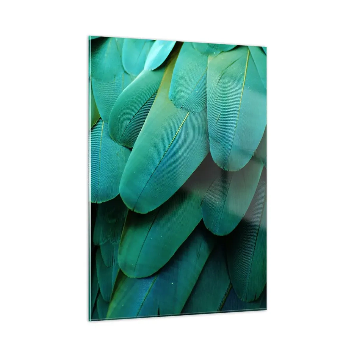 Glastavla - Bild på glas - Precision av papegojans natur - 50x70 cm