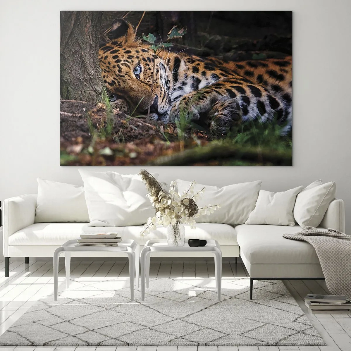 Glastavla - Bild på glas - En jaguar som ligger på marken och tittar lugnt in i kameran. - 70x50cm - Tro mig - Modern väggdekoration för vardagsrum och sovrum ARTTOR
