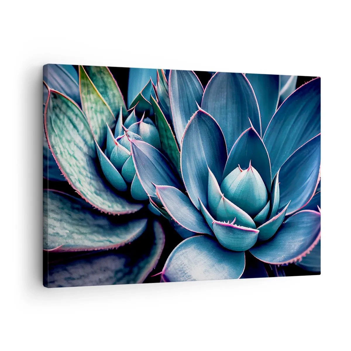 Canvastavla - Bild på duk - Agave i nyanser av blått och grönt med rosa accenter - 70x50cm - Vital kraft - Modern väggdekoration för vardagsrum och sovrum ARTTOR