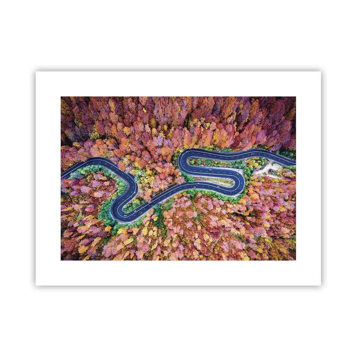 Affisch - Slingrande väg genom skogen - 40x30 cm